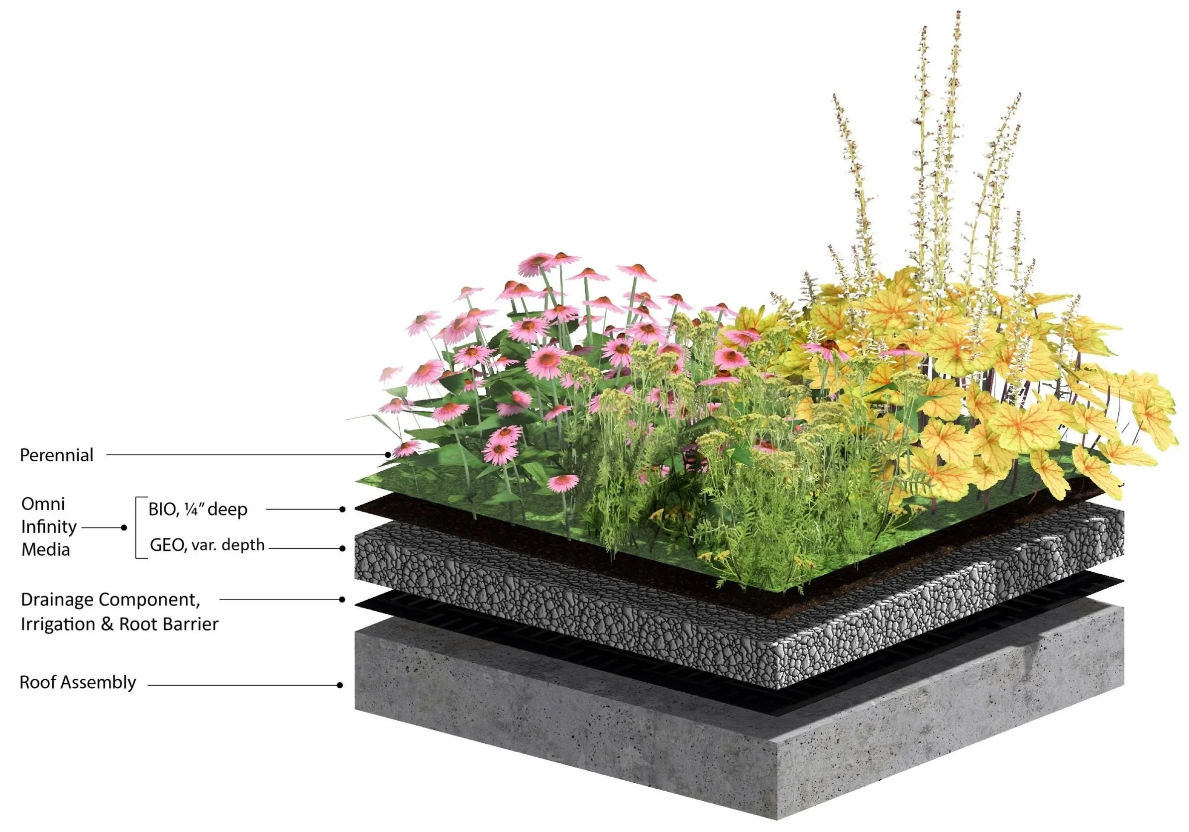 Intensive Green Roofs with Omni Infinity Media